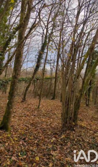  Terrain � vendre 5998 m�