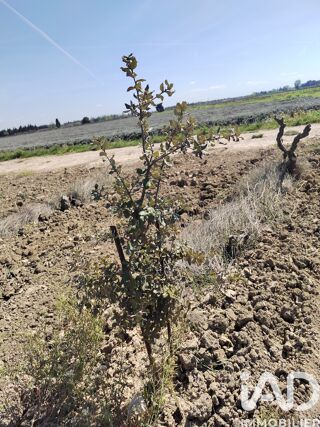  Terrain � vendre 4952 m�