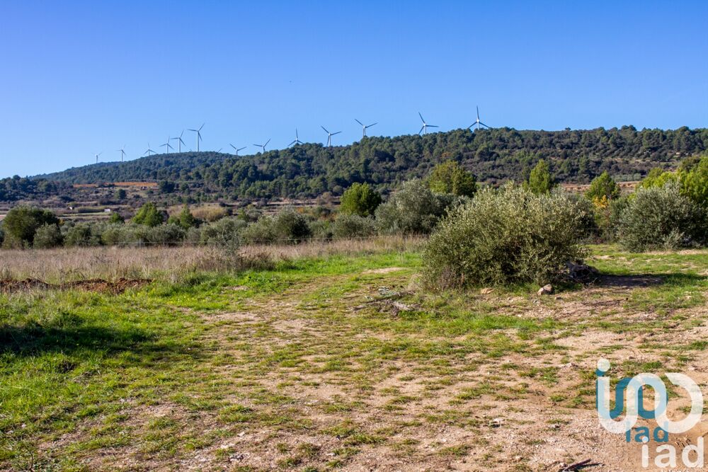 Vente Terrain Vente Terrain � b�tir 1 194 m&sup2; Mailhac