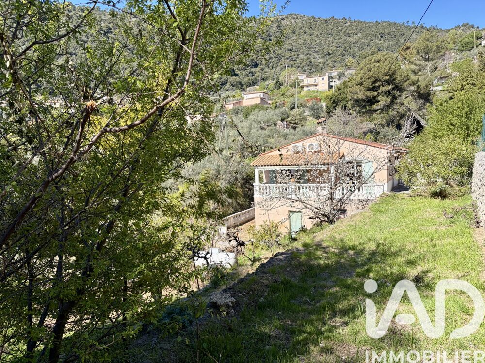 � vendre  Maison Falicon (06950)