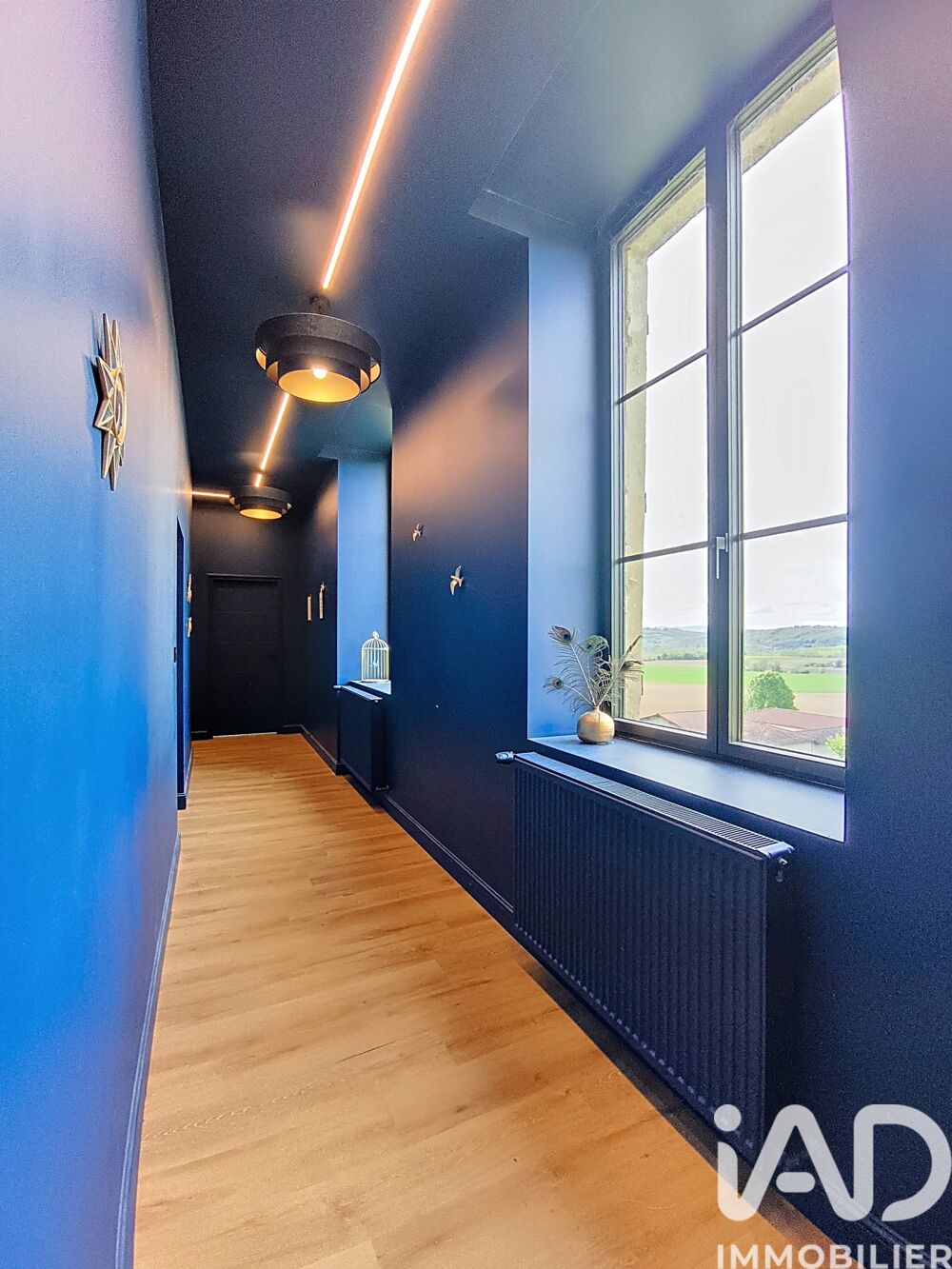 � vendre  Propri�t�/ch�teau Sept�me (38780)