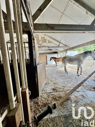  Maison � vendre 6 pi�ces 200 m�