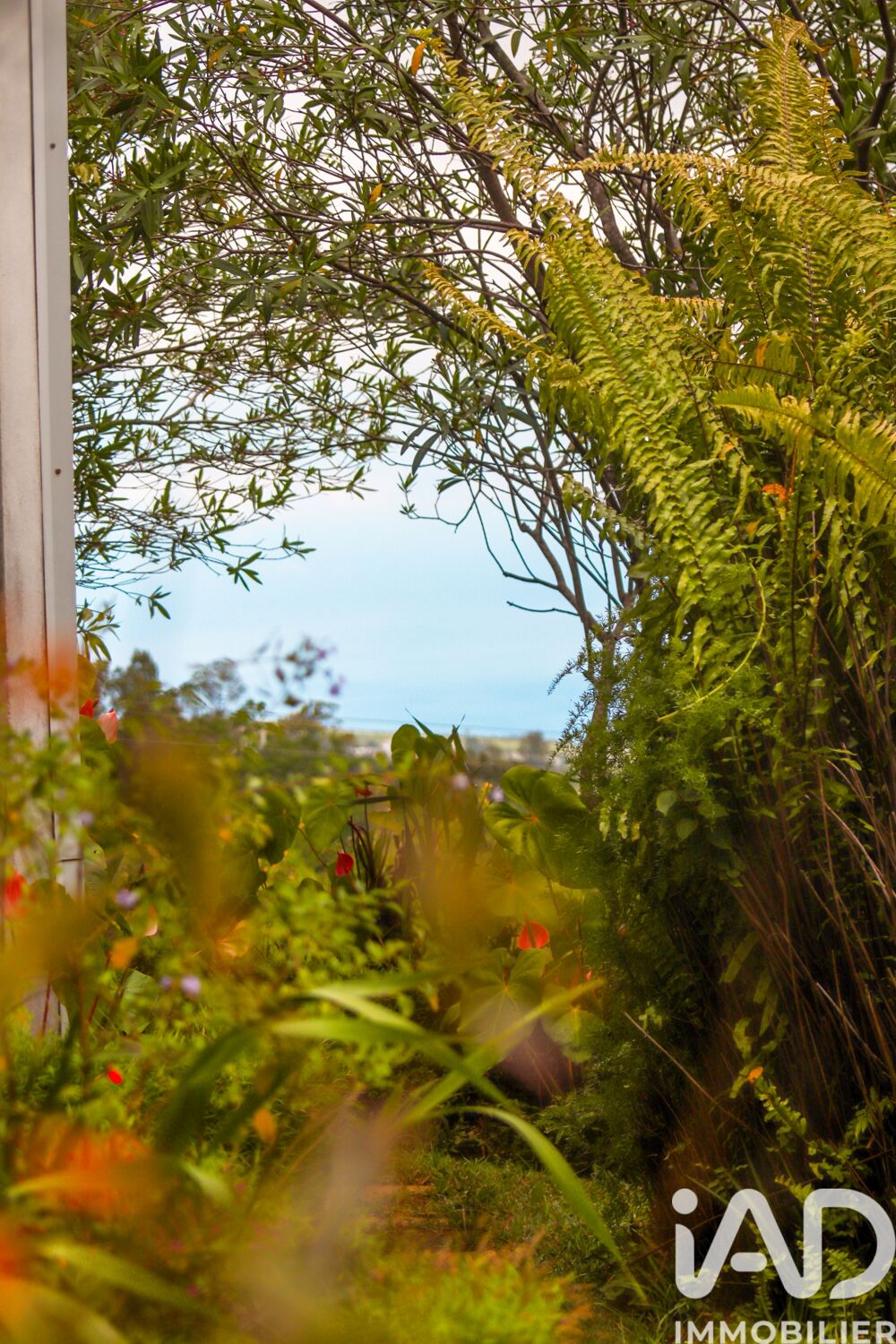 � vendre  Maison Saint-Gilles les Hauts (97435)