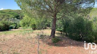  Terrain � vendre 503 m�