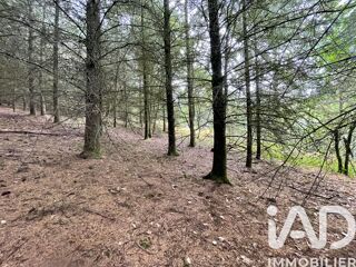  Terrain � vendre 121370 m�