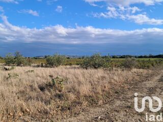  Terrain � vendre 29000 m�