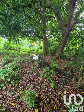  Terrain  vendre 1196 m