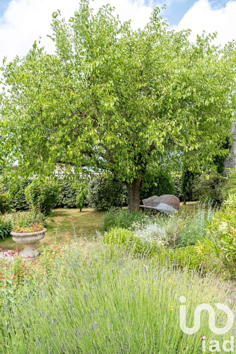 � vendre  Maison La Rochelle (17000)