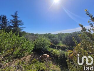  Maison � vendre 15 + pi�ces 445 m�