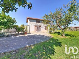  Terrain  vendre 981 m