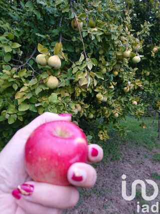  Terrain  vendre 681 m