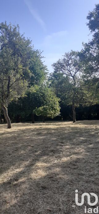  Terrain  vendre 979 m