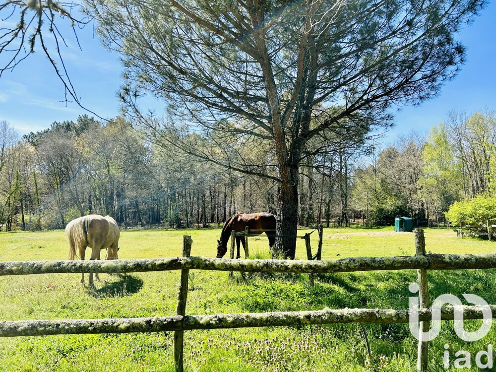  vendre  Maison Le Barp (33114)