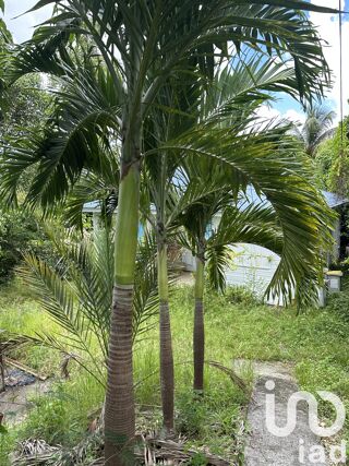  Maison � vendre 4 pi�ces 51 m�