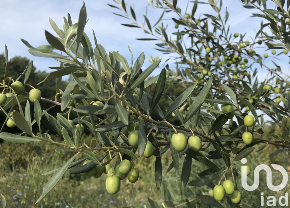  vendre  Maison Le Castellet (83330)