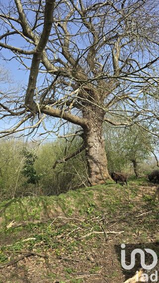  Maison � vendre 7 pi�ces 121 m�