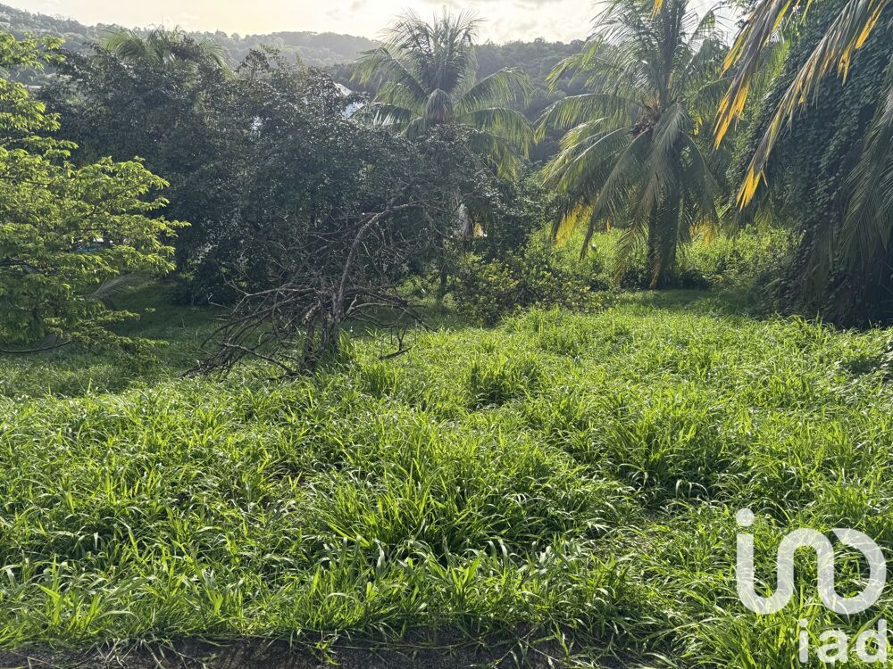 � vendre  Maison Le Lamentin (97232)