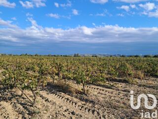  Terrain � vendre 29000 m�