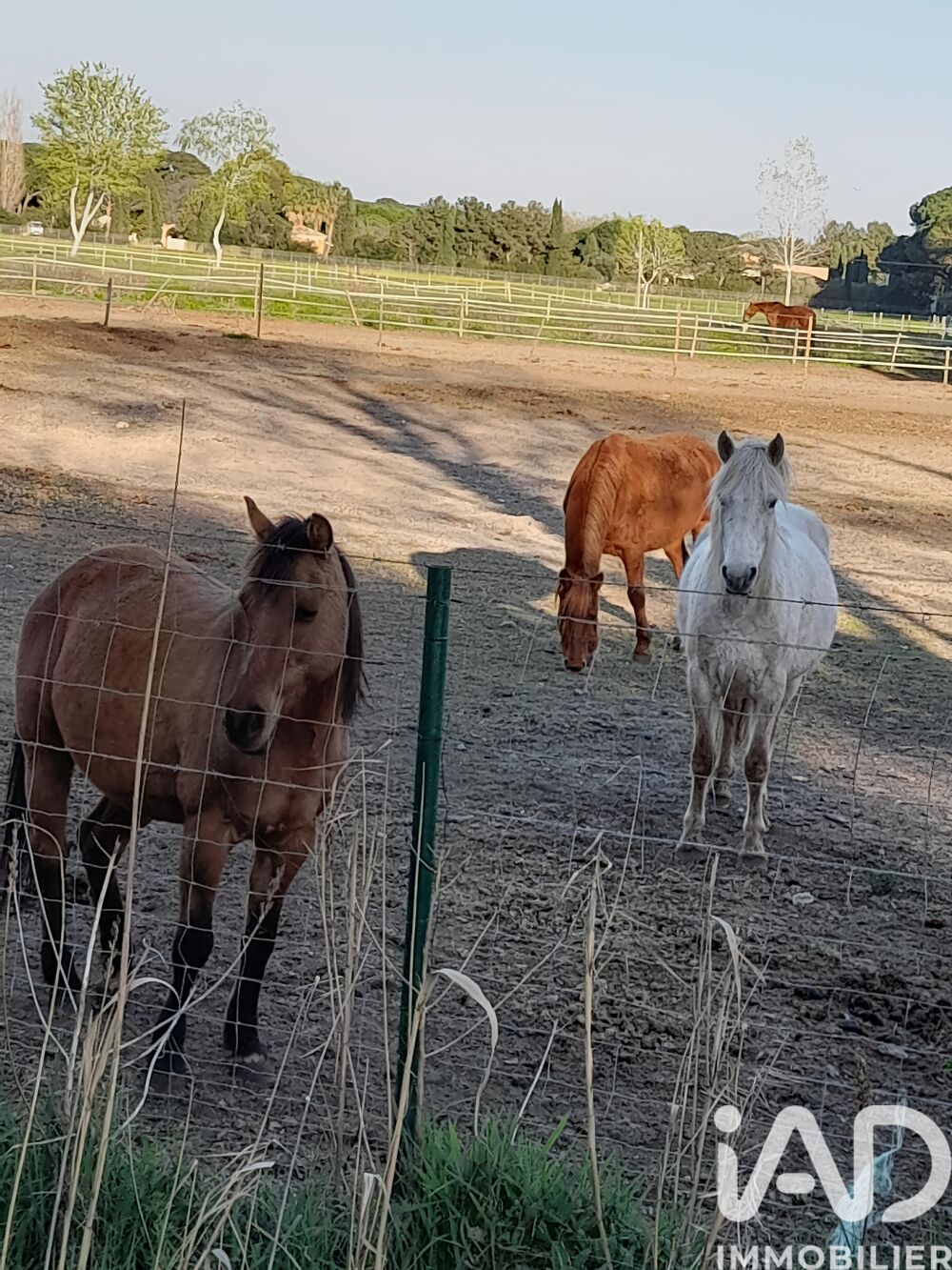 � vendre  Maison Aigues-Mortes (30220)