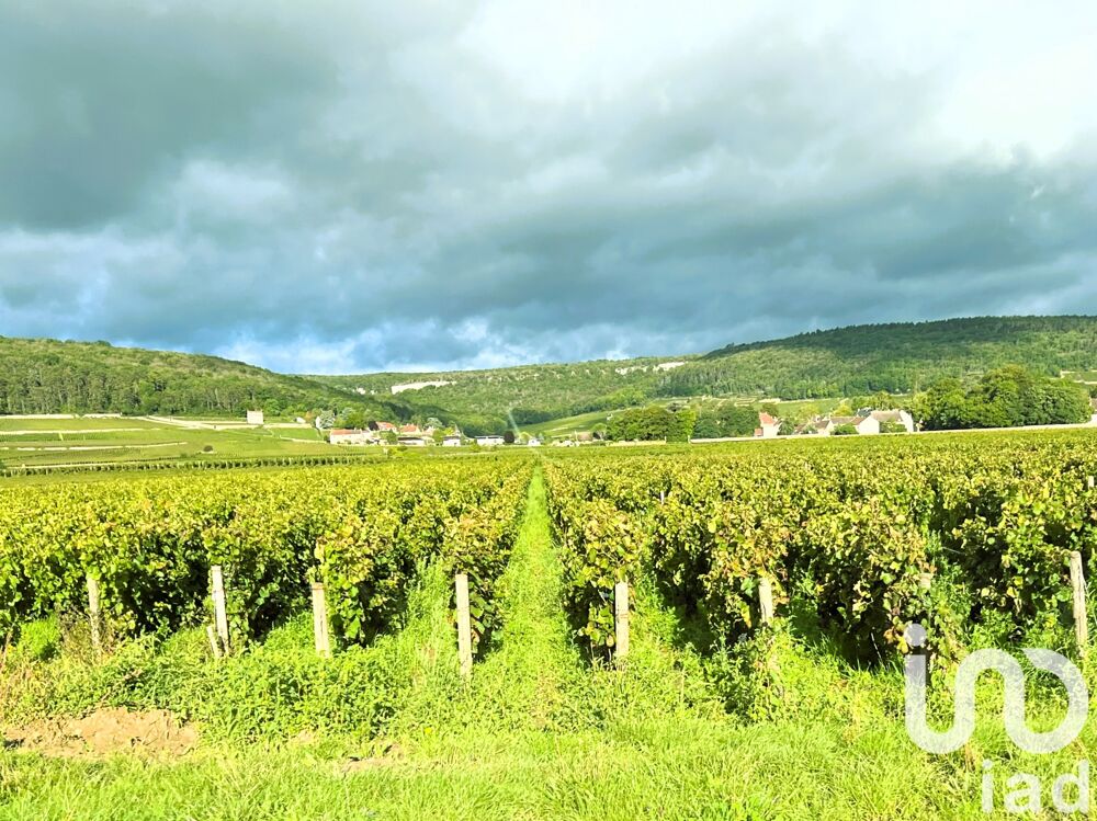  vendre  Villa Flagey-Echzeaux (21640)