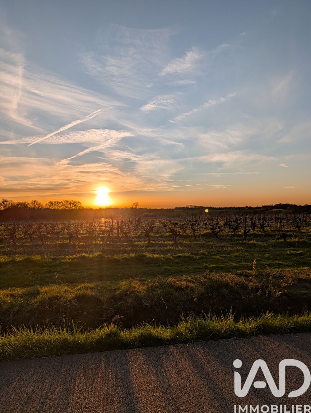 � vendre  Maison Vertou (44120)