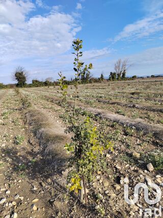  Terrain � vendre 4952 m�