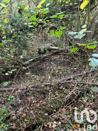  Terrain  vendre 732 m