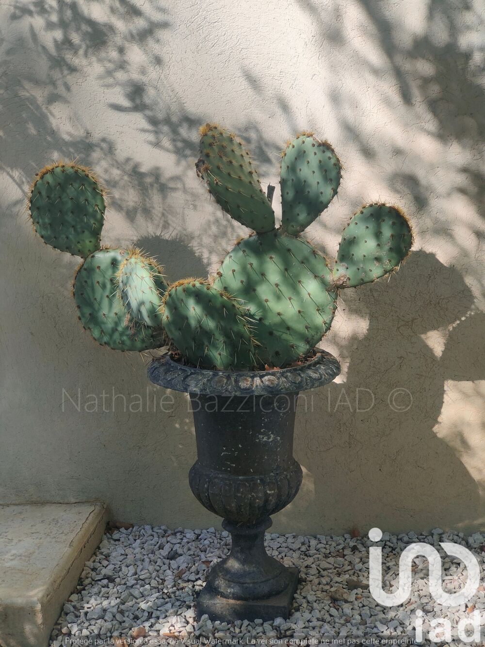 � vendre  Maison Toulon (83000)