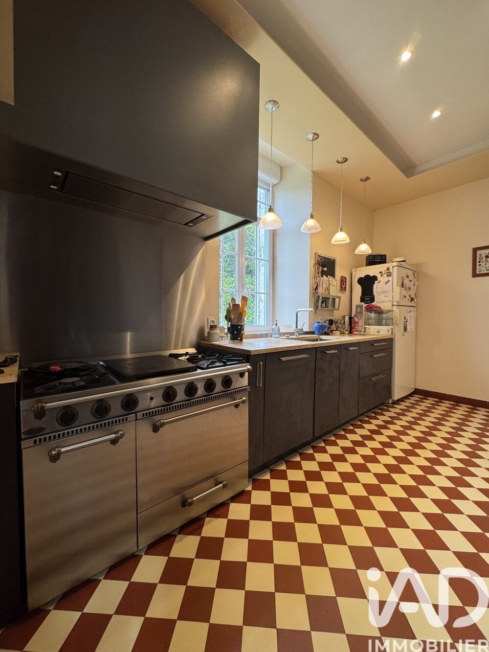 � vendre  Propri�t�/ch�teau Vornay (18130)