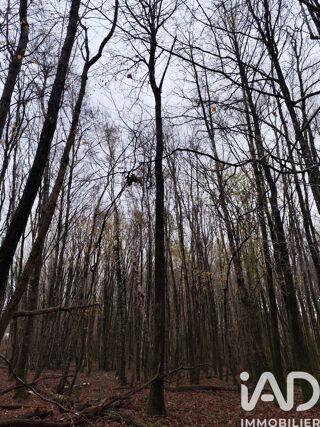  Terrain � vendre 29105 m�