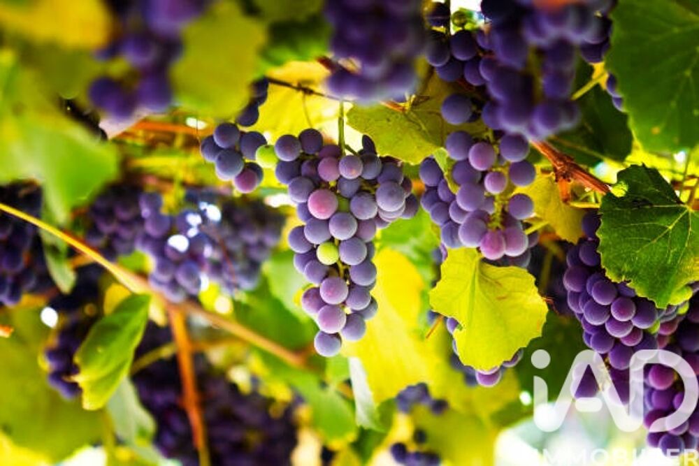 � vendre  Maison L'Isle-sur-la-Sorgue (84800)