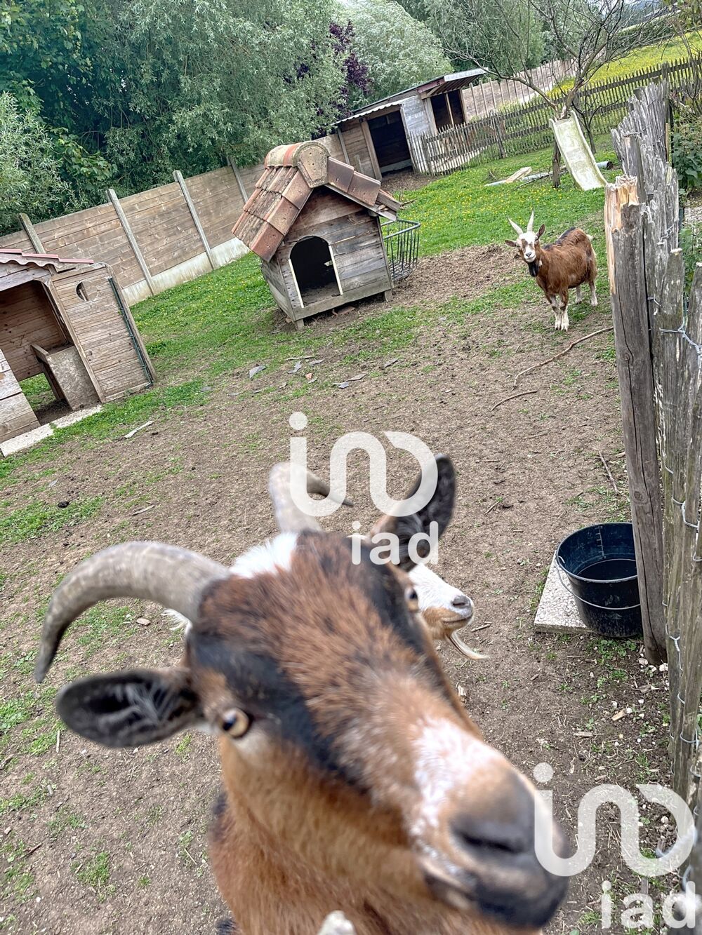  vendre  Maison Bournonville (62240)