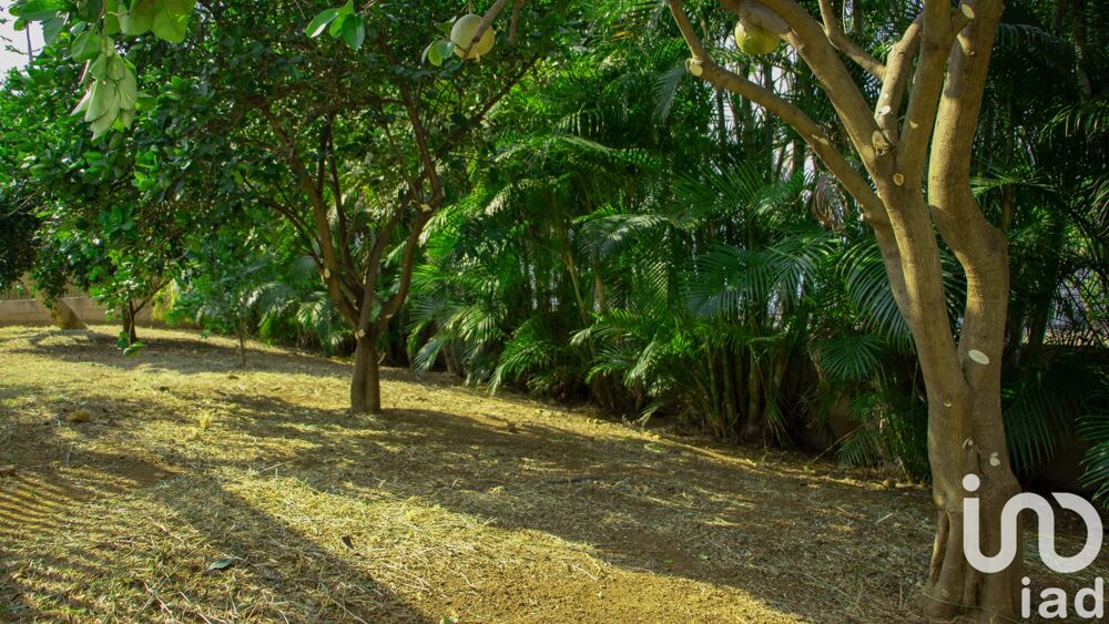 � vendre  Maison Saint-Pierre (97410)