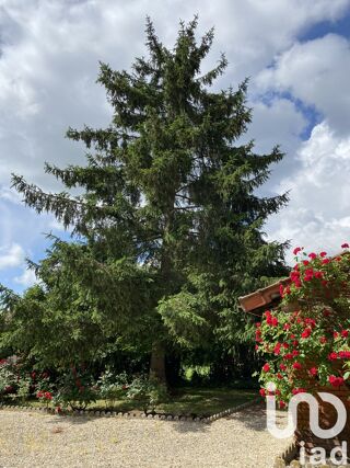  Maison � vendre 5 pi�ces 155 m�