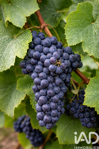  Terrain � vendre 515 m�