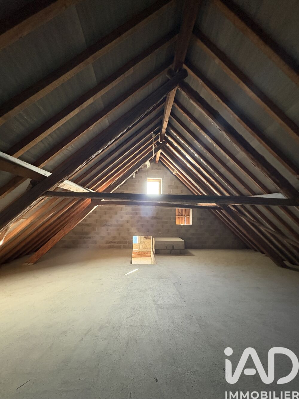 � vendre  Appartement Huez (38750)