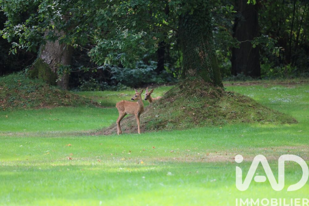 � vendre  Maison Saint-Maclou (27210)