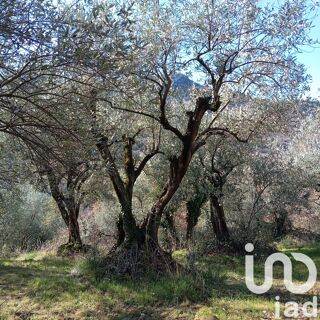  Terrain  vendre 4065 m
