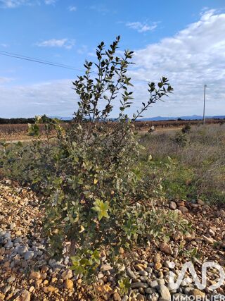  Terrain � vendre 4952 m�