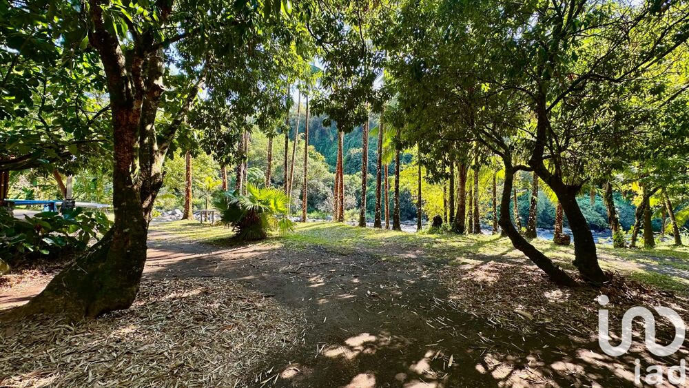 � vendre  Maison Saint-Beno�t (97470)