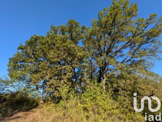  Terrain � vendre 20220 m�