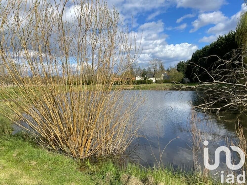  vendre  Maison Cheverny (41700)