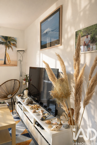  Appartement � vendre 2 pi�ces 45 m�