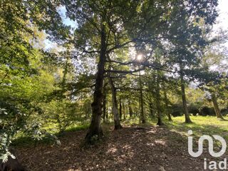  Maison � vendre 10 pi�ces 220 m�