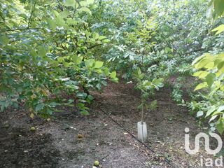  Terrain � vendre 16110 m�