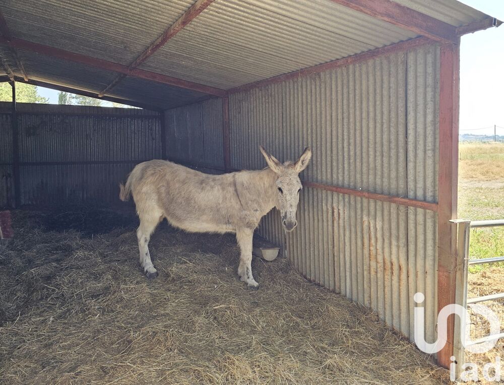  vendre  Maison Bziers (34500)