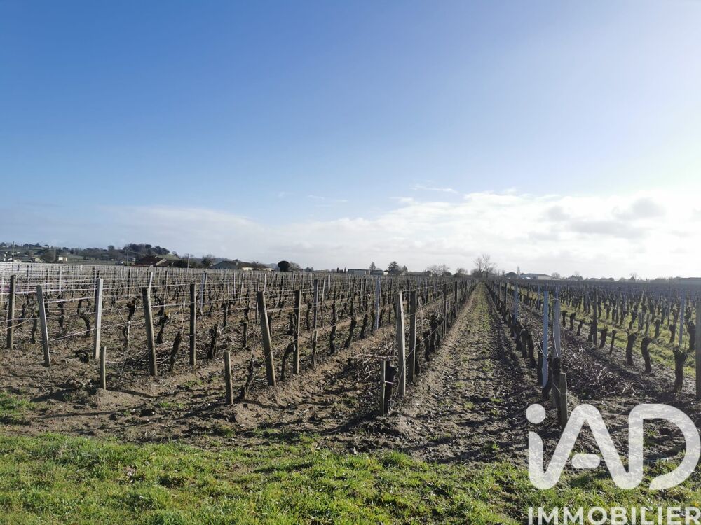 � vendre  Propri�t�/ch�teau Saint-Sulpice-de-Faleyrens (33330)