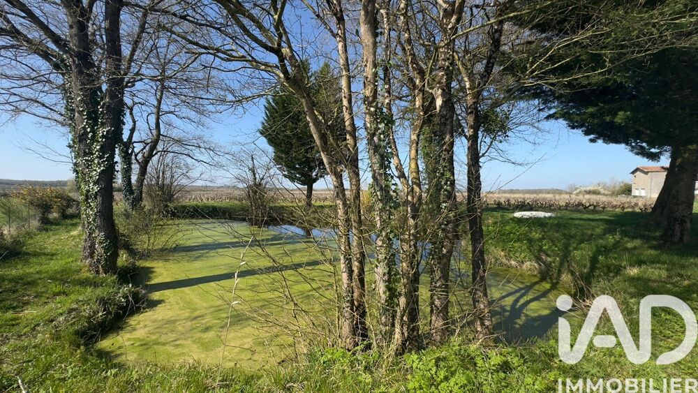 � vendre  Propri�t�/ch�teau Monni�res (44690)