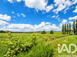  Maison � vendre 11 pi�ces 386 m�