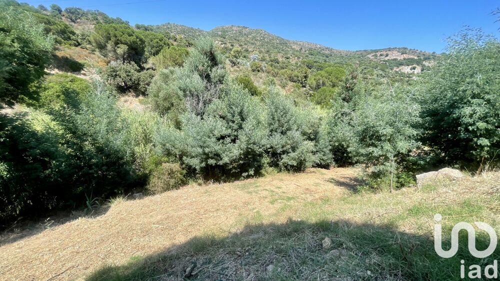   Bormes-les-mimosas